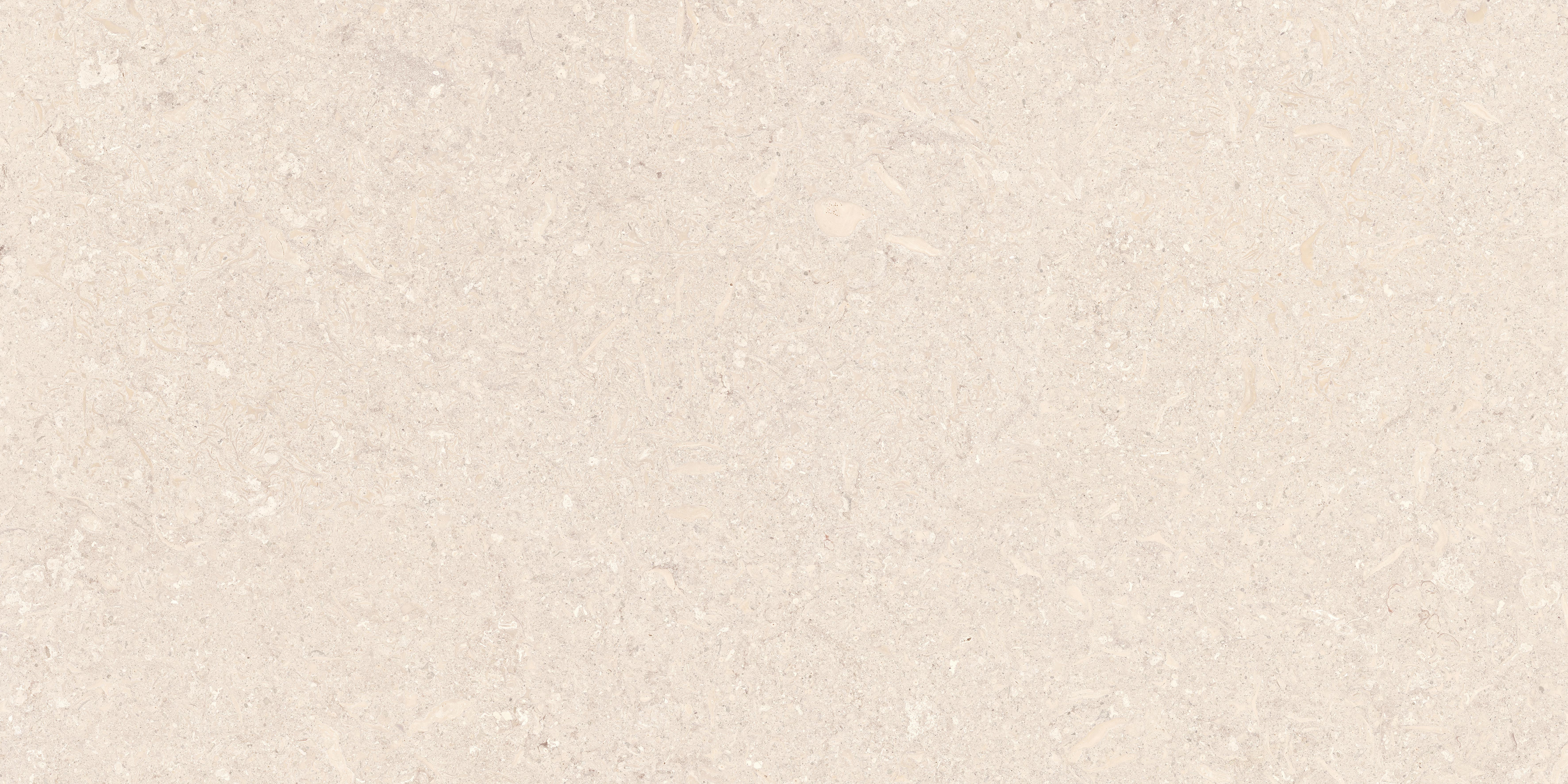6125137 a face(1)